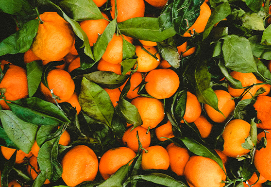 Food Regulations E-Book: Securing Food Insurance Solutions