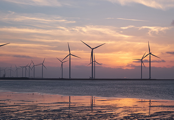 The Role of ESG in Improving Insurance Programs
